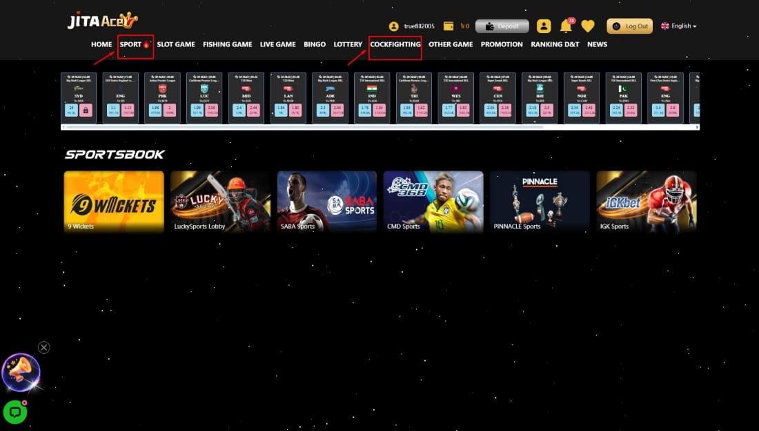 JitaAce homepage showing list of available sportsbooks including 9 Wickets, SABA, CMD, and more